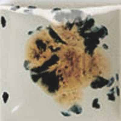 Crystal Glaze Caramel Latte 118ml